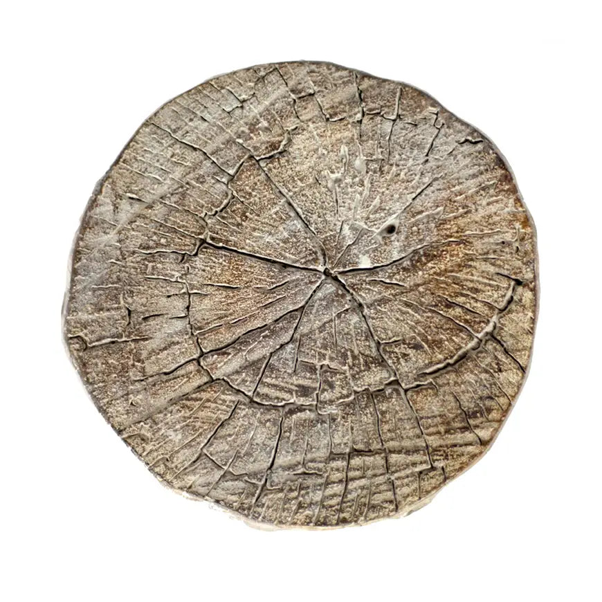 Cement Log 12" Slab