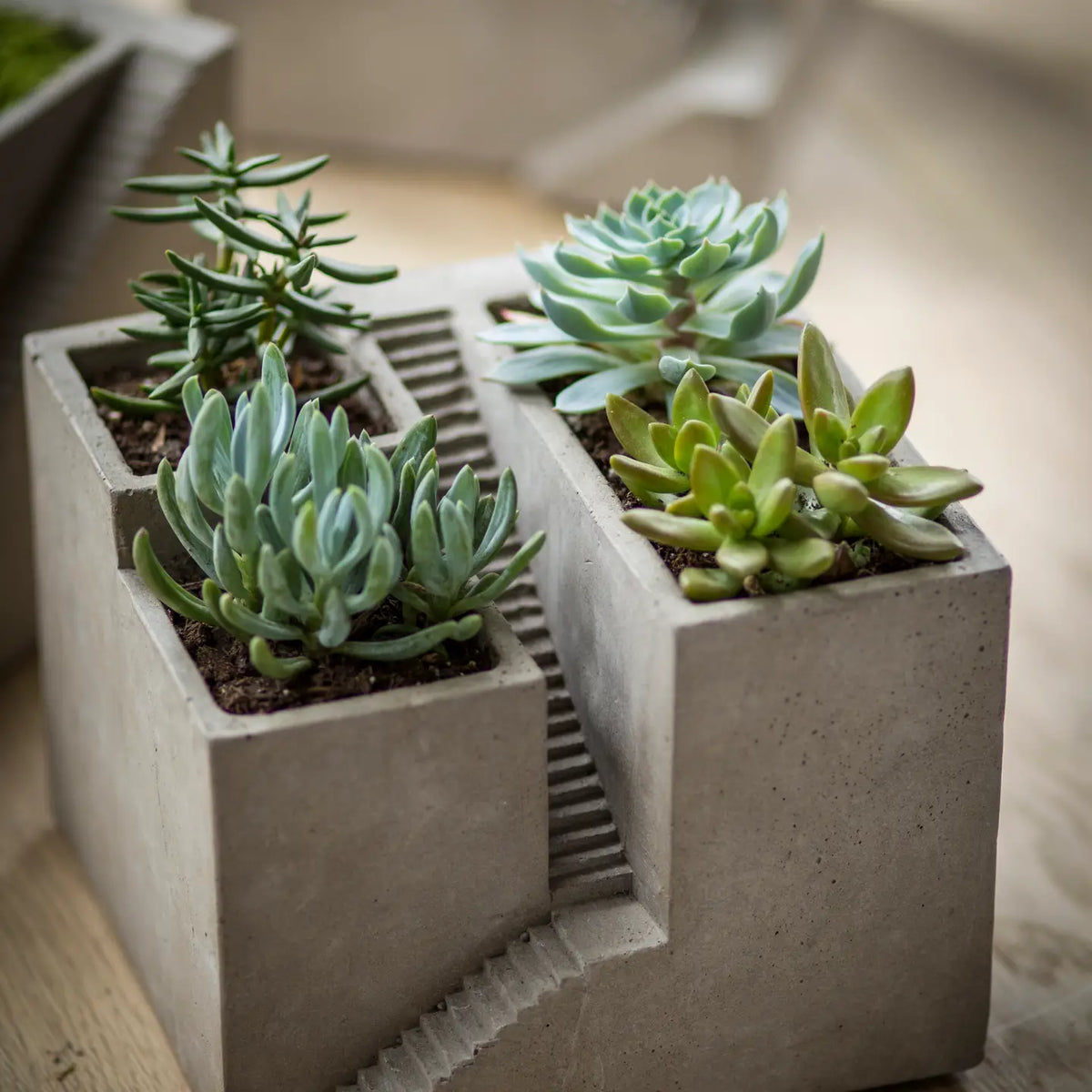 Cement Architectural Cube