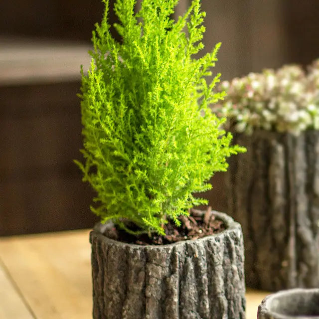 Round Concrete Pot with Bark Motif