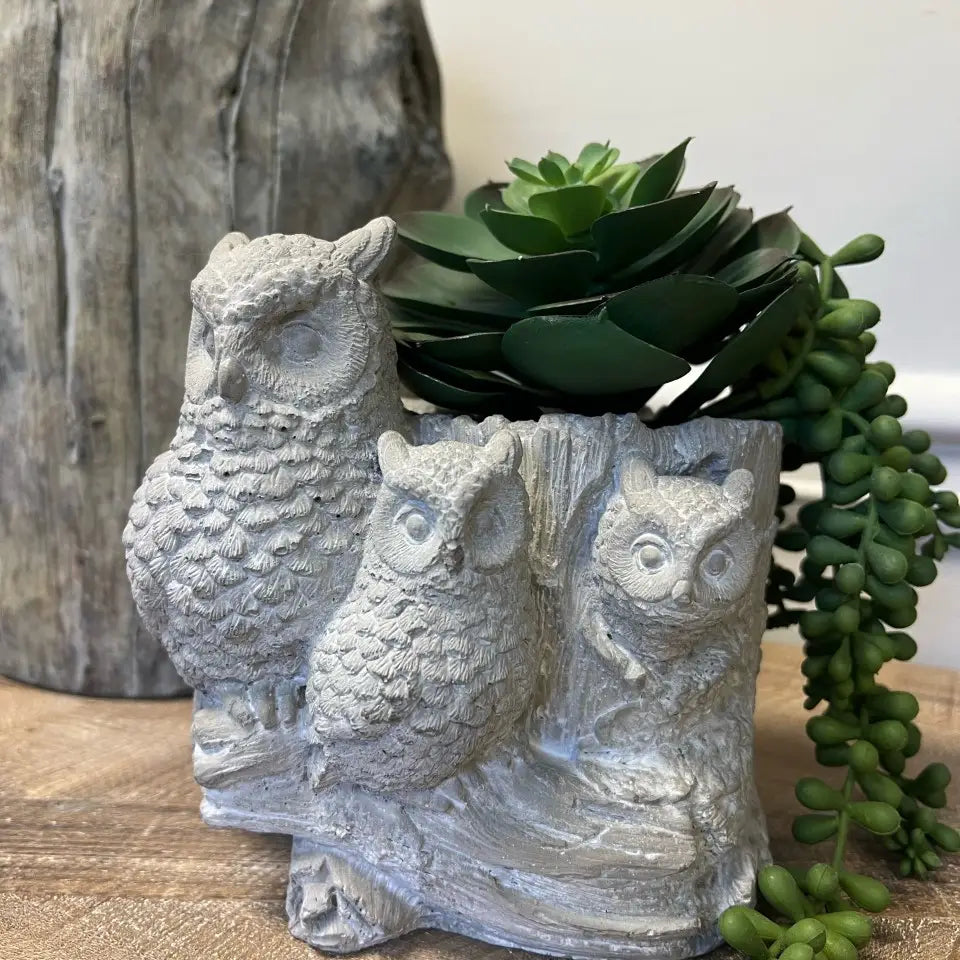 CEMENT OWL PLANTER