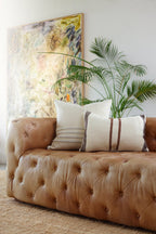 Border Striped Pillow