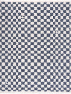 Kieu Blue & White Checkered Area Rug