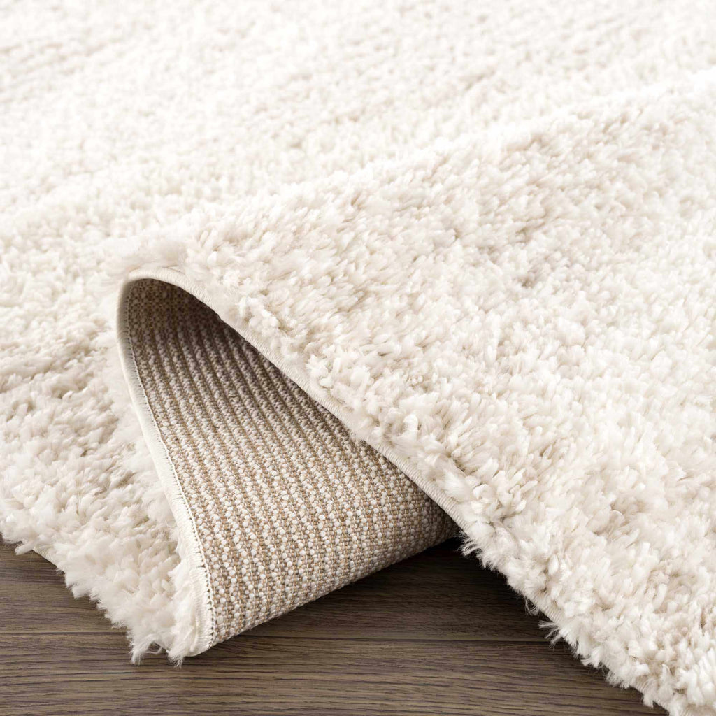 Trunding Plush Area Rug in Light Beige