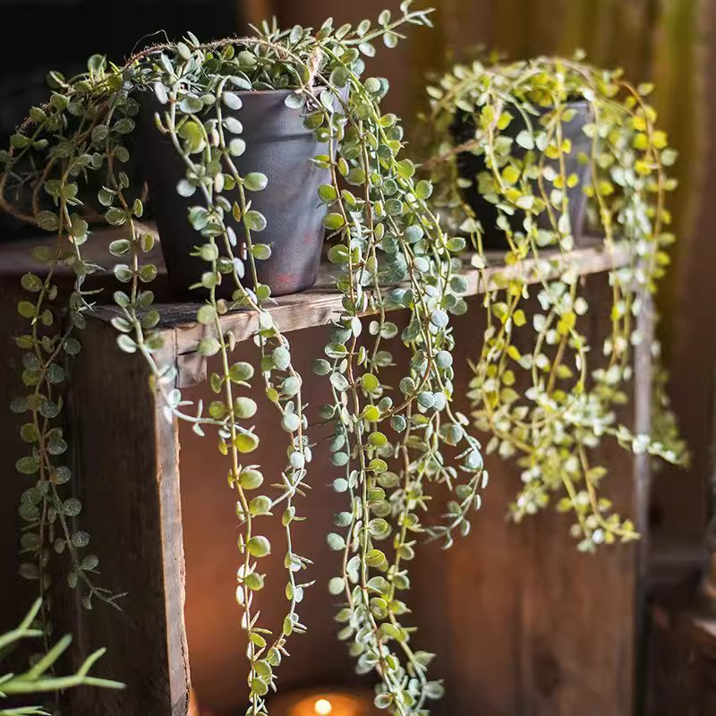 Hanging Faux Ceropegia Vine in Pot
