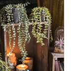 Hanging Faux Ceropegia Vine in Pot