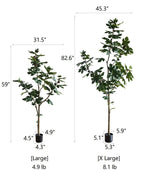 Artificial Silk Fig Tree In Pot