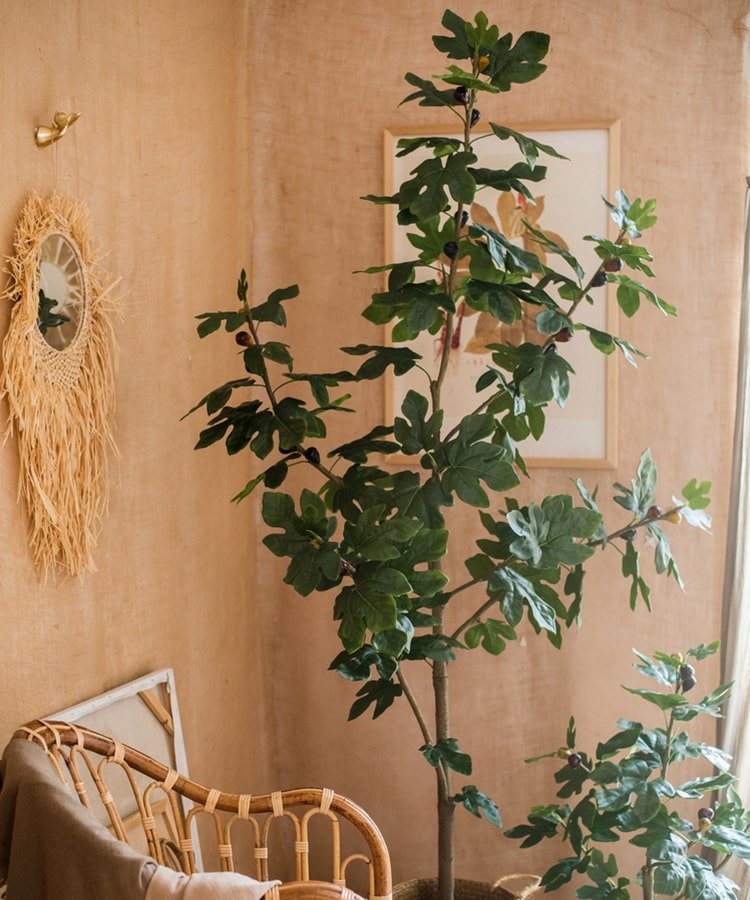 Artificial Silk Fig Tree In Pot