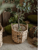 Natural Straw Round Basket with Handles