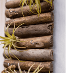 Rustic Wood Ladder Wall Décor Tool Organizer