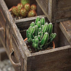Farmhouse Wooden Box for Succulents or Flowers