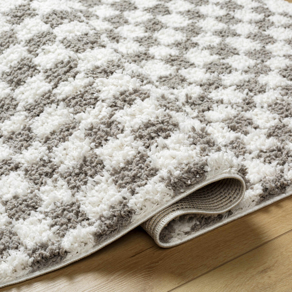 Kieu Taupe Checkered Plush Rug