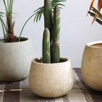 Rustic Globe Cement Planter