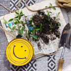 Happy Face Hanging Planter