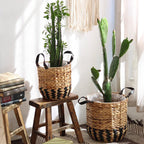Two-Tone Basket Planter with Leather Handles