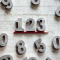 Zinc Individual Numbers