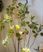 Artificial Silk Bauhinia Tree In Pot