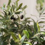 Artificial Fuax Large Olive Stem 41" Tall