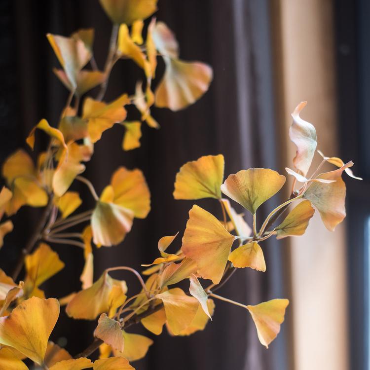 Artificial Ginkgo Stem in Yellow 37" Tall Faux
