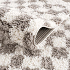 Kieu Taupe Checkered Plush Rug