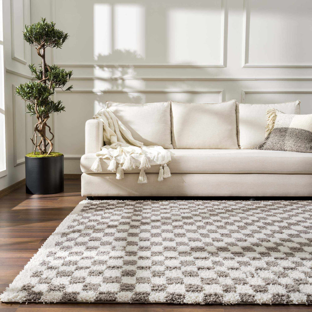 Kieu Taupe Checkered Plush Rug