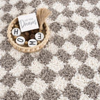 Kieu Taupe Checkered Plush Rug
