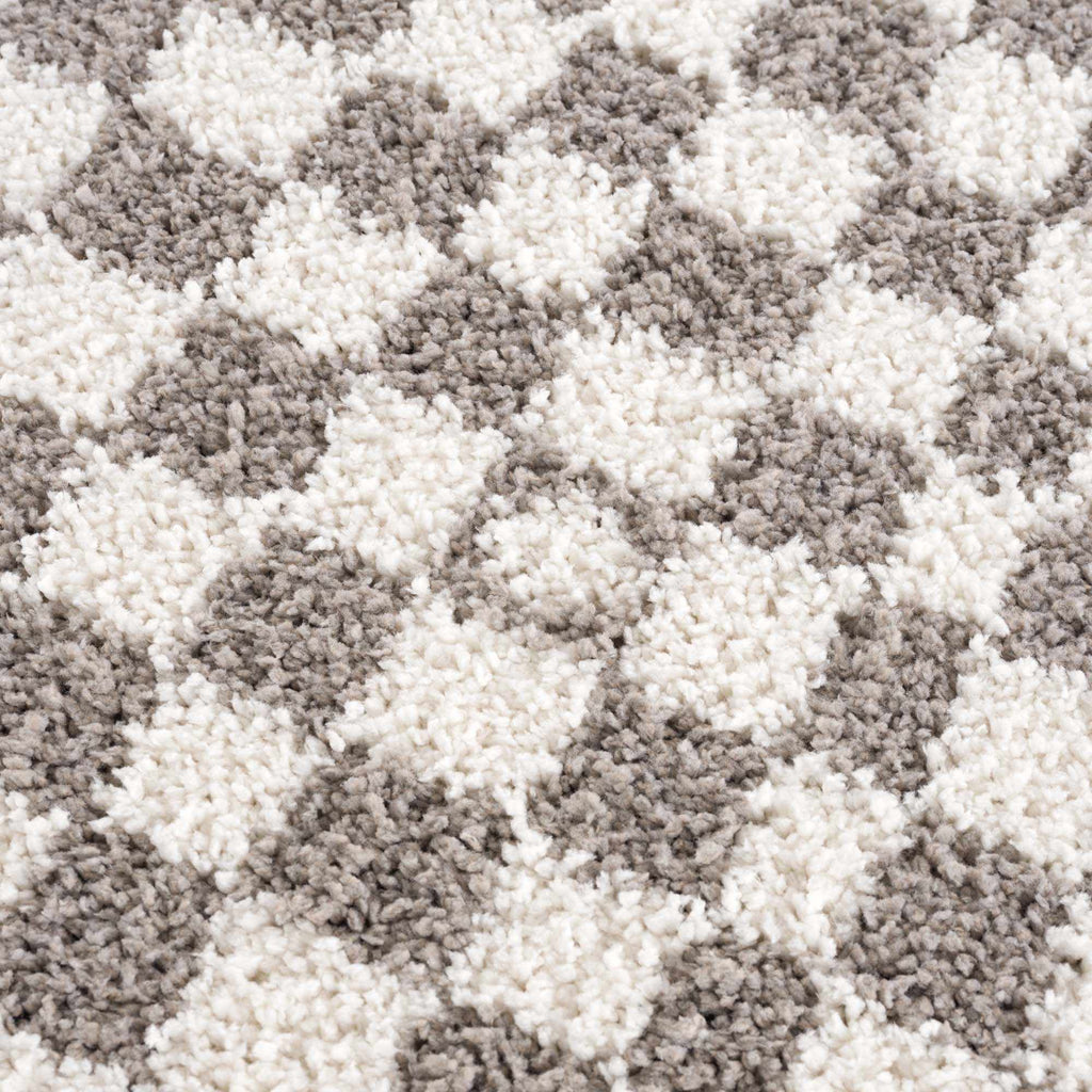 Kieu Taupe Checkered Plush Rug