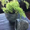 Palm Leaf Planter
