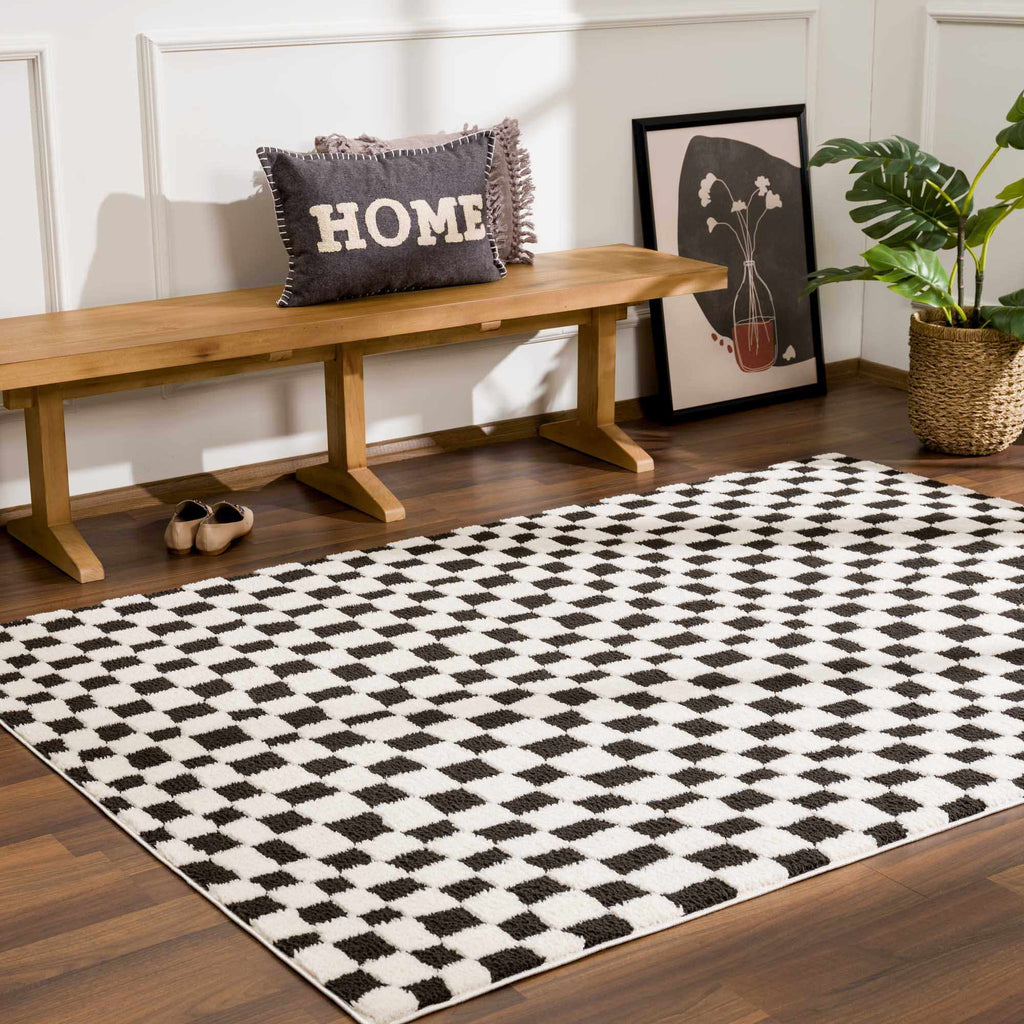 Lajos Black & White Checkered Plush Rug