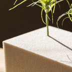 Flower Mud Dry Flower Foam Brick Set of 3