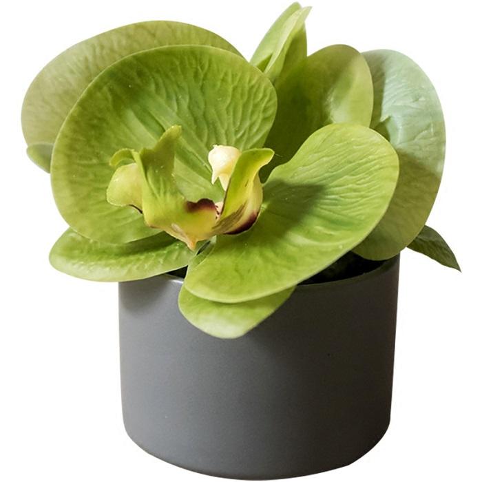 Artificial Faux Flower Mini Real Touch Potted Orchid Green