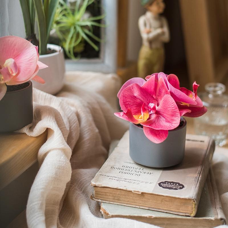 Artificial Potted Mini Real Touch Orchid Velvet Red