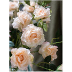 Artificial Faux Real Touch Blooming Rose Stem 25" Tall Silk