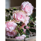 Faux Silk Real Touch Blooming Rose Stem in Pink 25" Tall