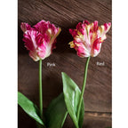Faux Silk Flower Flame Tulip Stem 24" Tall